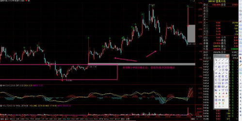 雷曼光电 深耕LED显示领域，COB技术引领光电科技新浪潮